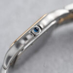 Cartier Panthère Mid-size Bicolor