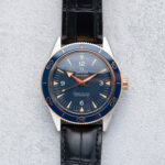 Omega Seamaster 300 Master Co-axial 233.62.41.21.03.001 - Bicolor